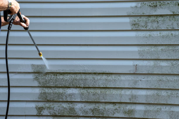 Best Insulated Siding Installation  in Broadway, VA