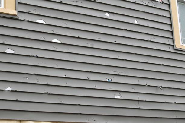 Best Residential Vinyl Siding Installation  in Broadway, VA